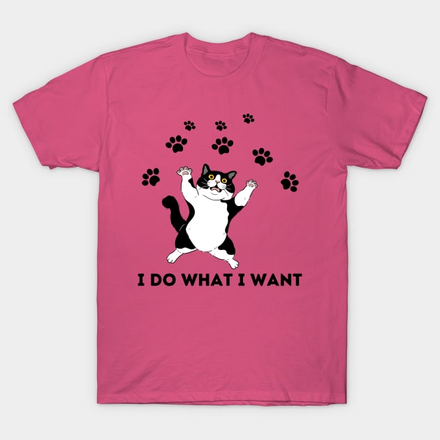 I do what i want cat funny cat T-Shirt by AM95